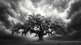 Piu avanti. El poema que no te deja caer.